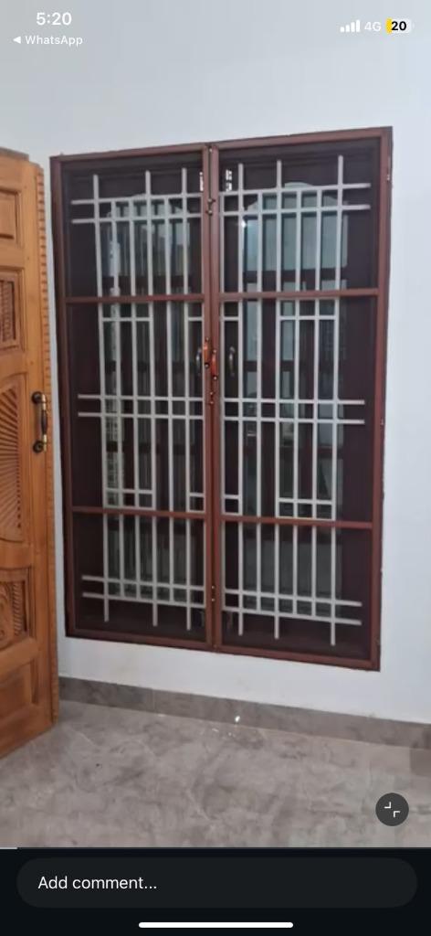 Double-panel mosquito net screen door